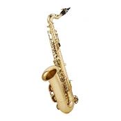 MTP START - saxophone alto petites mains