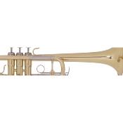 --- DISCONTINUE ---MTP T-300 - trompette en Ut vernie