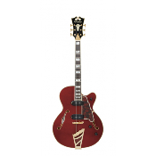 D'ANGELICO Excel 59 Viola