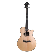 Guitare electro-acoustique furch green grand cw sr lrb1