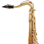 Selmer Référence 54 verni gold gravé - Saxophone ténor professionnel avec étui et bec complet