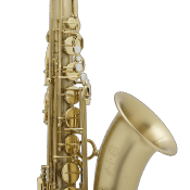 Selmer Super Action 80 série II brossé gravé - Saxophone ténor professionnel avec étui et bec complet